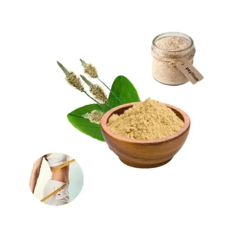 Benefits of Pure Psyllium Husk Powder Benefits of Pure Psyllium Husk Powder