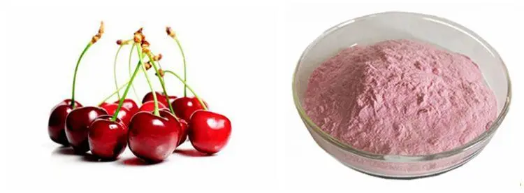 Acerola Cherry Extract Powder Acerola Cherry Extract Powder