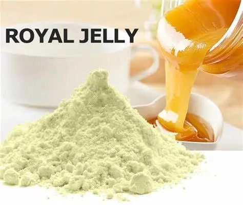 Lyophilized Royal Jelly Powder Lyophilized Royal Jelly Powder