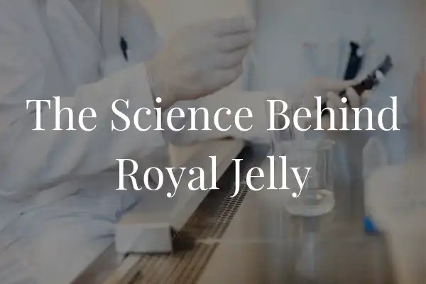 The Science Behind Royal Jelly's Nutritional Power The Science Behind Royal Jelly's Nutritional Power