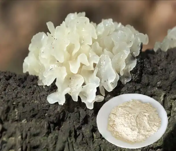 Tremella Mushroom Extract Powder
