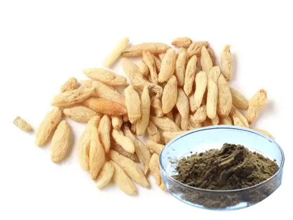 Ophiopogon Japonicus Root Extract Ophiopogon Japonicus Root Extract