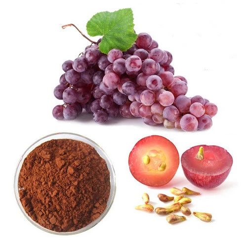 Grape Seed Extract Powder