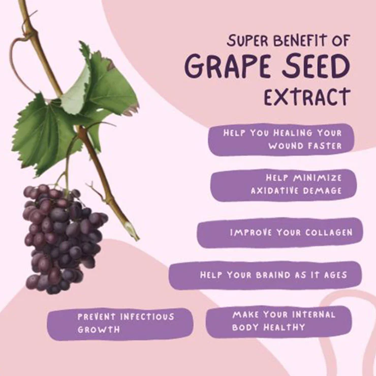 Benefits of Grape Seed Extract Powder