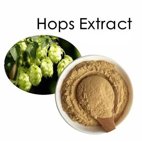 Hop Extract Hop Extract
