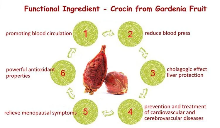 Exploring the Versatile Applications of Crocin Powder Exploring the Versatile Applications of Crocin Powder
