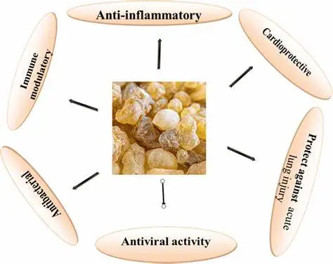 Health Benefits of Boswellic Acid Powder Health Benefits of Boswellic Acid Powder
