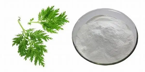 Artemisinin Powder Artemisinin Powder