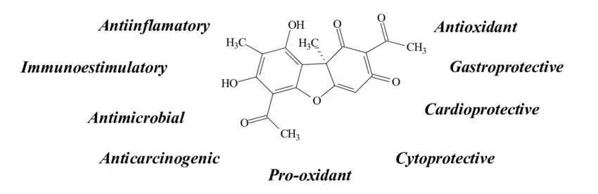 Benefits of Usnic Acid Powder Benefits of Usnic Acid Powder