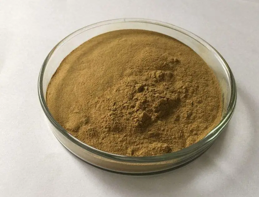 Hydroxytyrosol powder Hydroxytyrosol powder