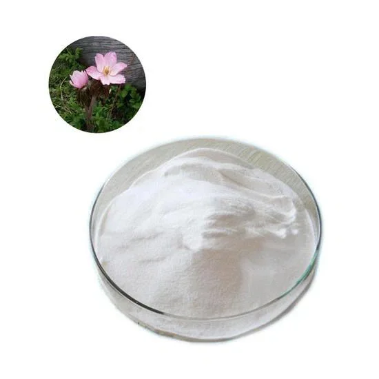 Podophyllotoxin Powder