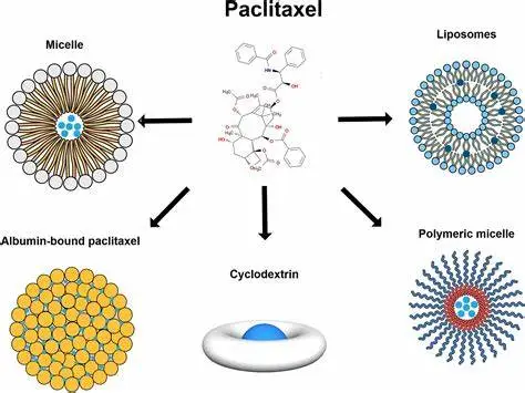 Benefits of Paclitaxel Powder Benefits of Paclitaxel Powder