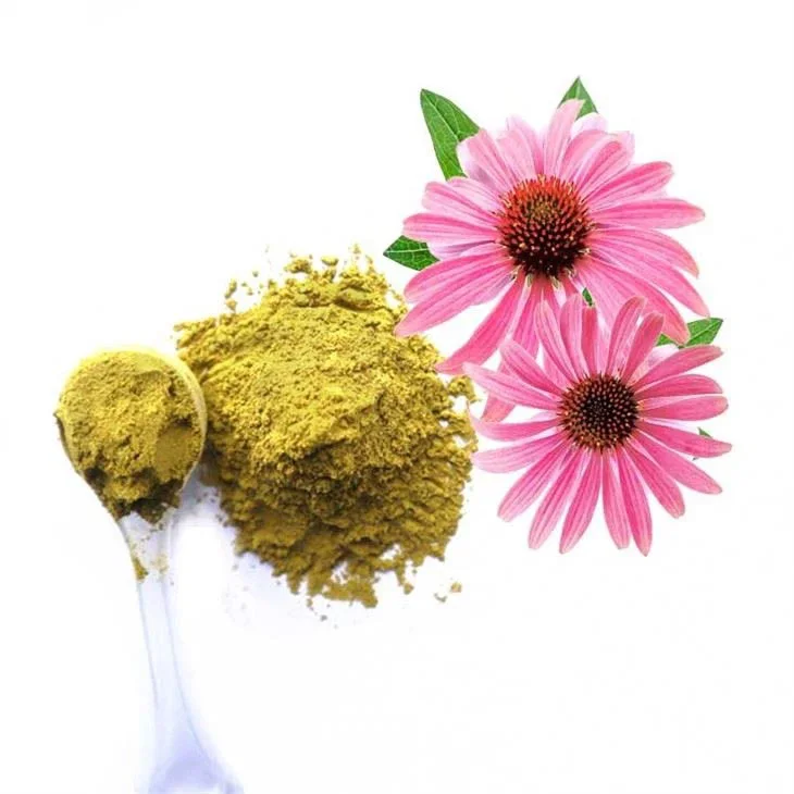 Chicoric Acid Powder
