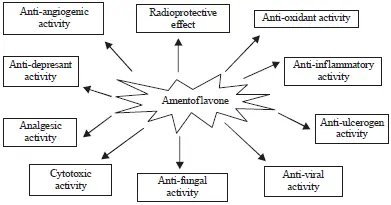 Benefits of Amentoflavone Powder Benefits of Amentoflavone Powder