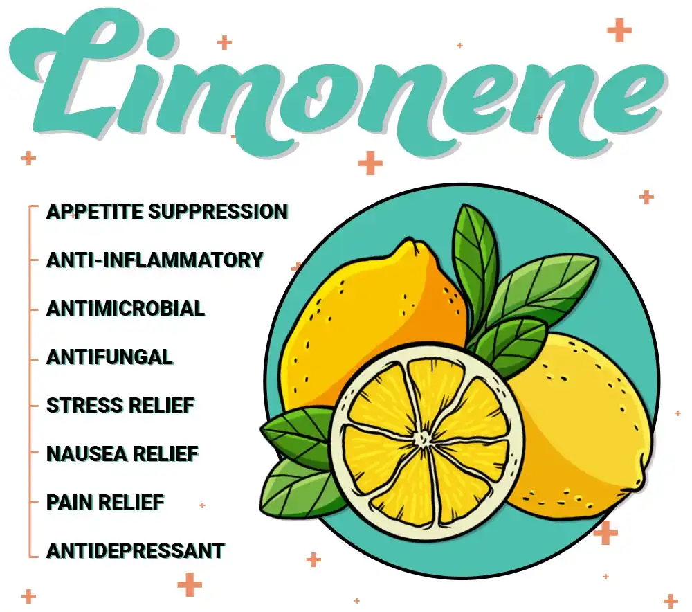 Benefits of Lemon Extract Limonin
