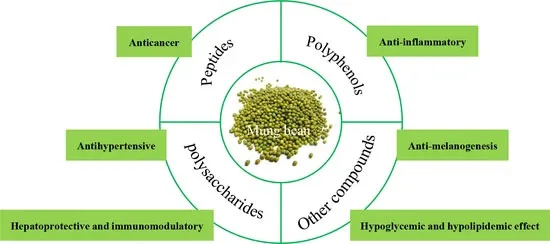 Benefits of Mung Bean Extract Powder Benefits of Mung Bean Extract Powder