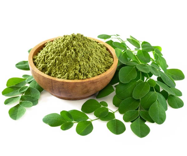 Moringa Extract Powder Moringa Extract Powder