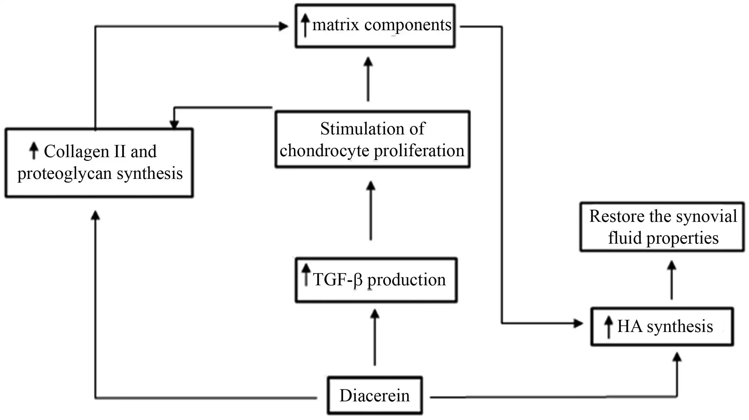 Manteision Powdr Diacerein Manteision Powdr Diacerein