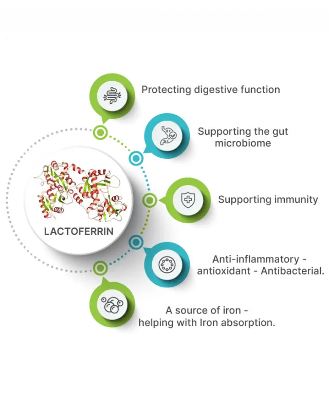 Benefits of Lactoferrin Powder Benefits of Lactoferrin Powder