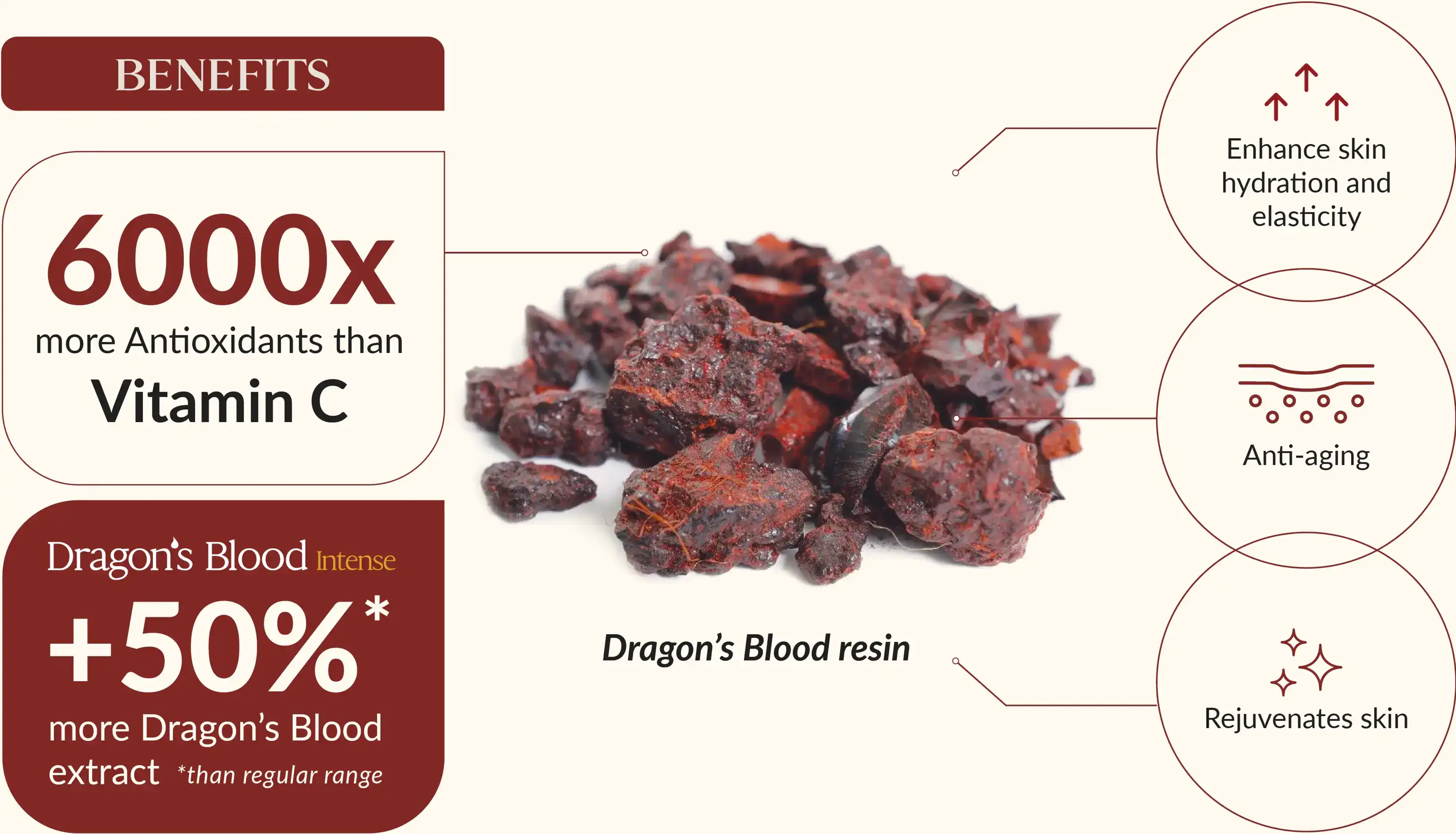 Benefits of Dragon's Blood Extract Powder Benefits of Dragon's Blood Extract Powder