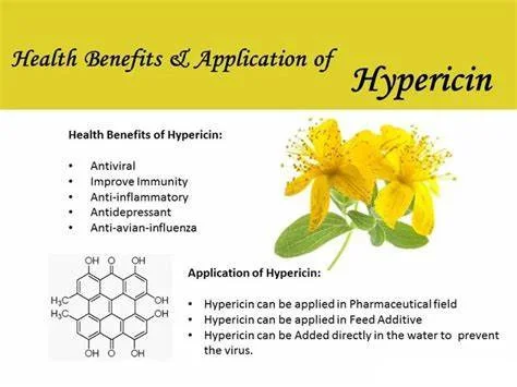 Benefits and applications of Hypericin Powder