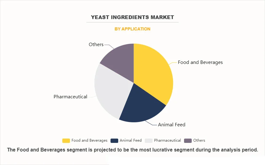Yeast Extract Industry Applications and Market Integration