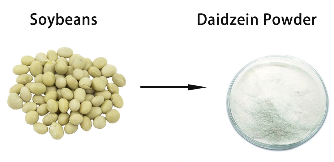 sources of daidzei powder