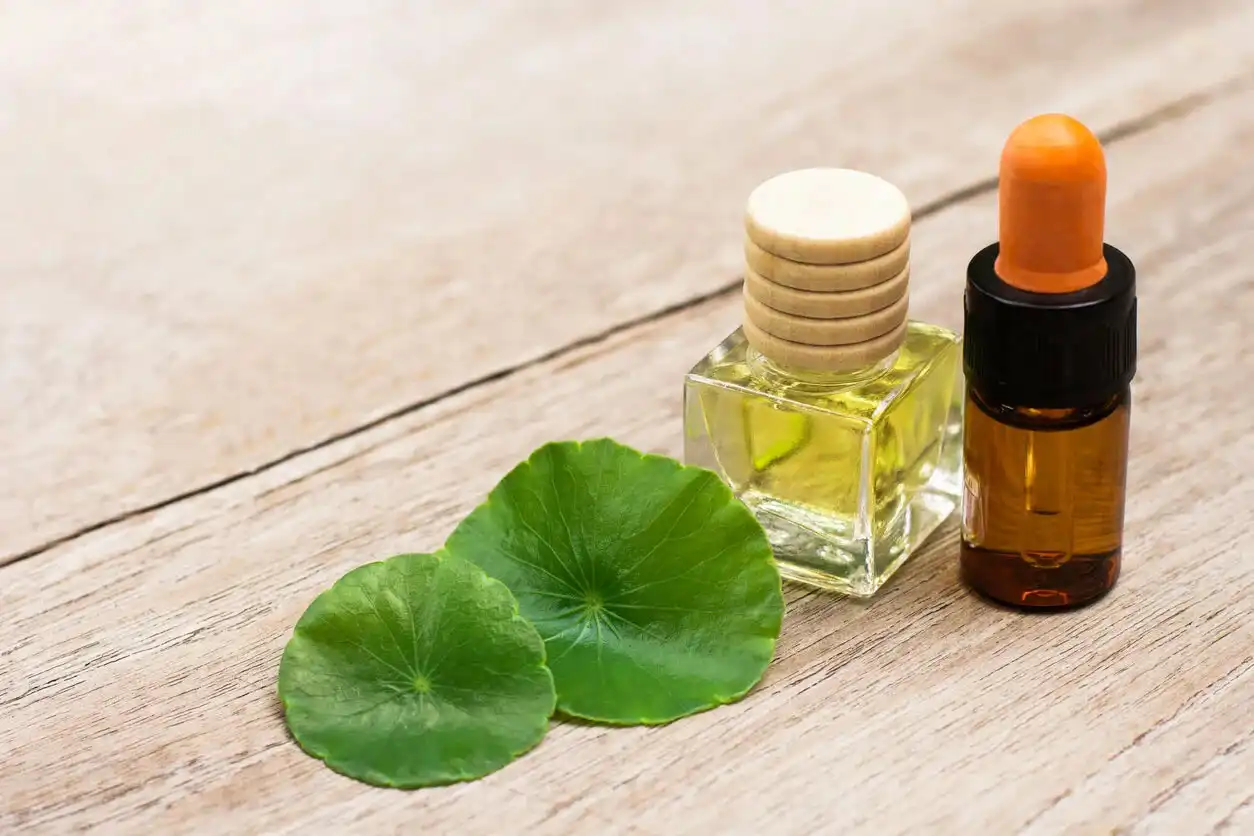 Application of Centella Asiatica Extract in Beauty and Skin Care Application of Centella Asiatica Extract in Beauty and Skin Care