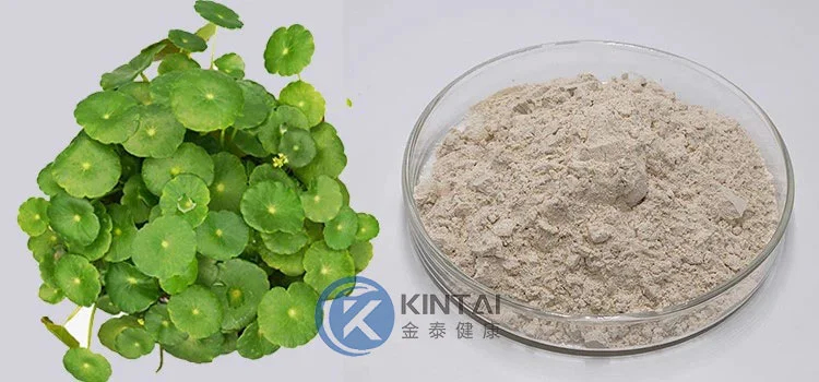 Centella Asiatica Leaf Extract Centella Asiatica Leaf Extract