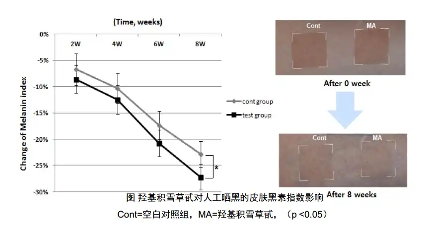 The Main Effects of Asiaticoside Powder