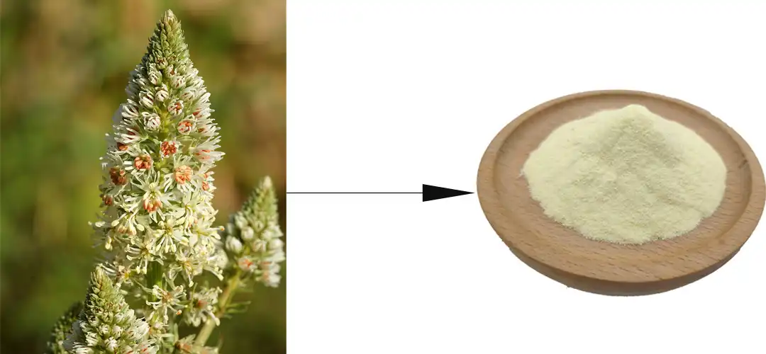 sources of Luteolin