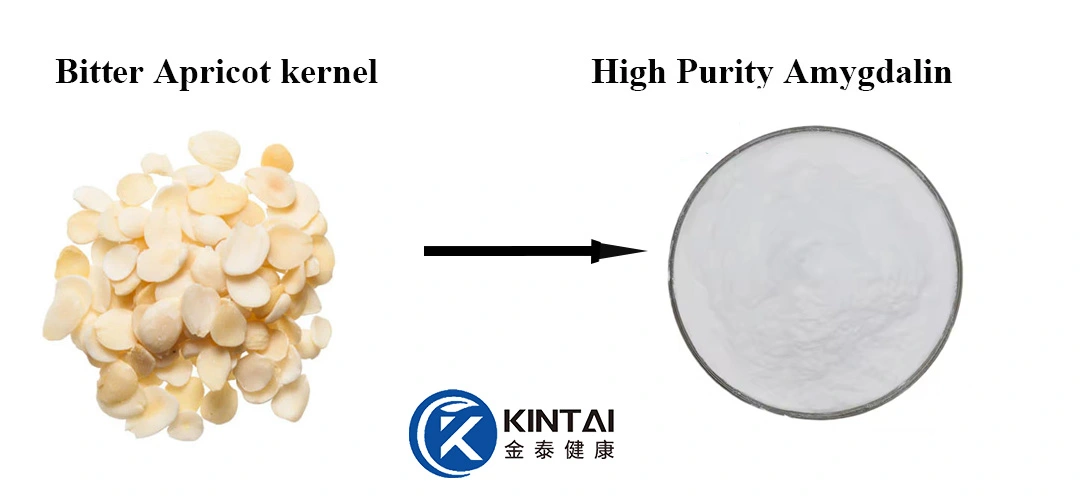 SOURCES kintai amygdalin SOURCES kintai amygdalin