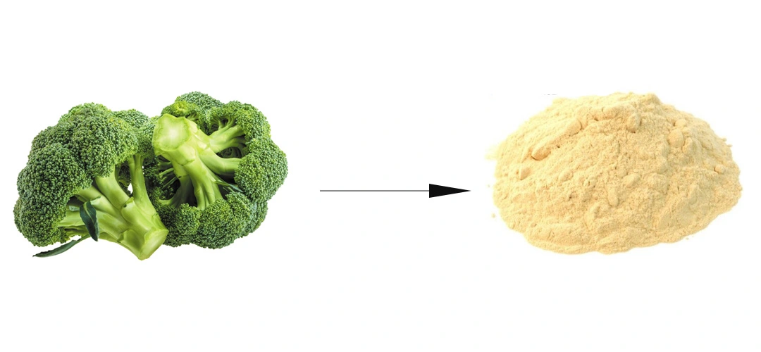  Sulforaphane Powder Sources