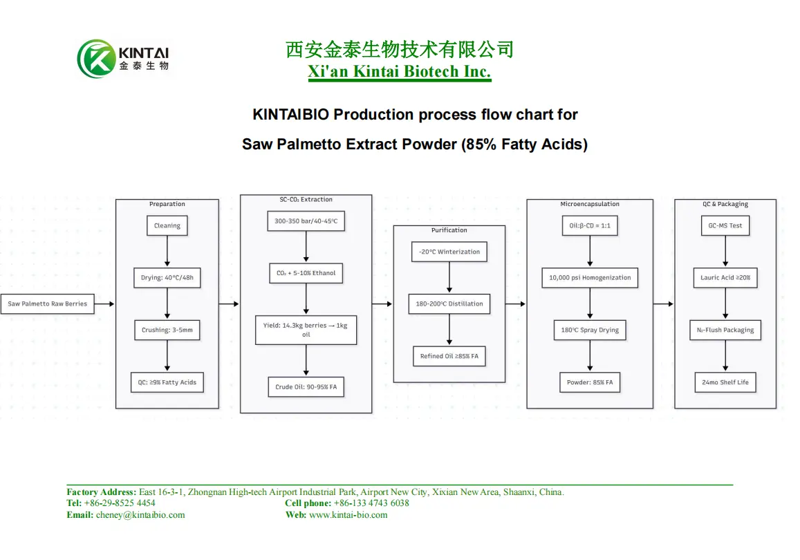 KINTAIBIO Production process flow chart for Saw Palmetto Extract Powder