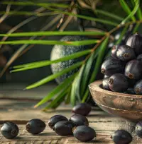Saw Palmetto Extract Fruits Saw Palmetto Extract Fruits