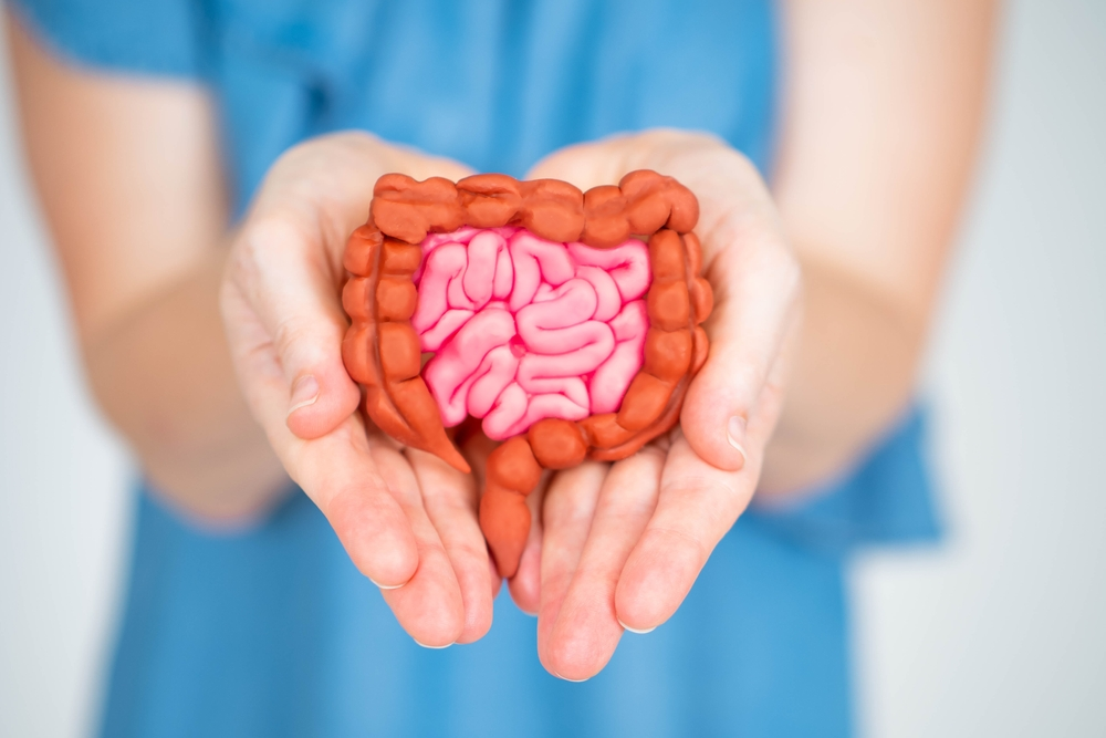Gentian Root Extract Powder Benefits ，Side benefits and More 