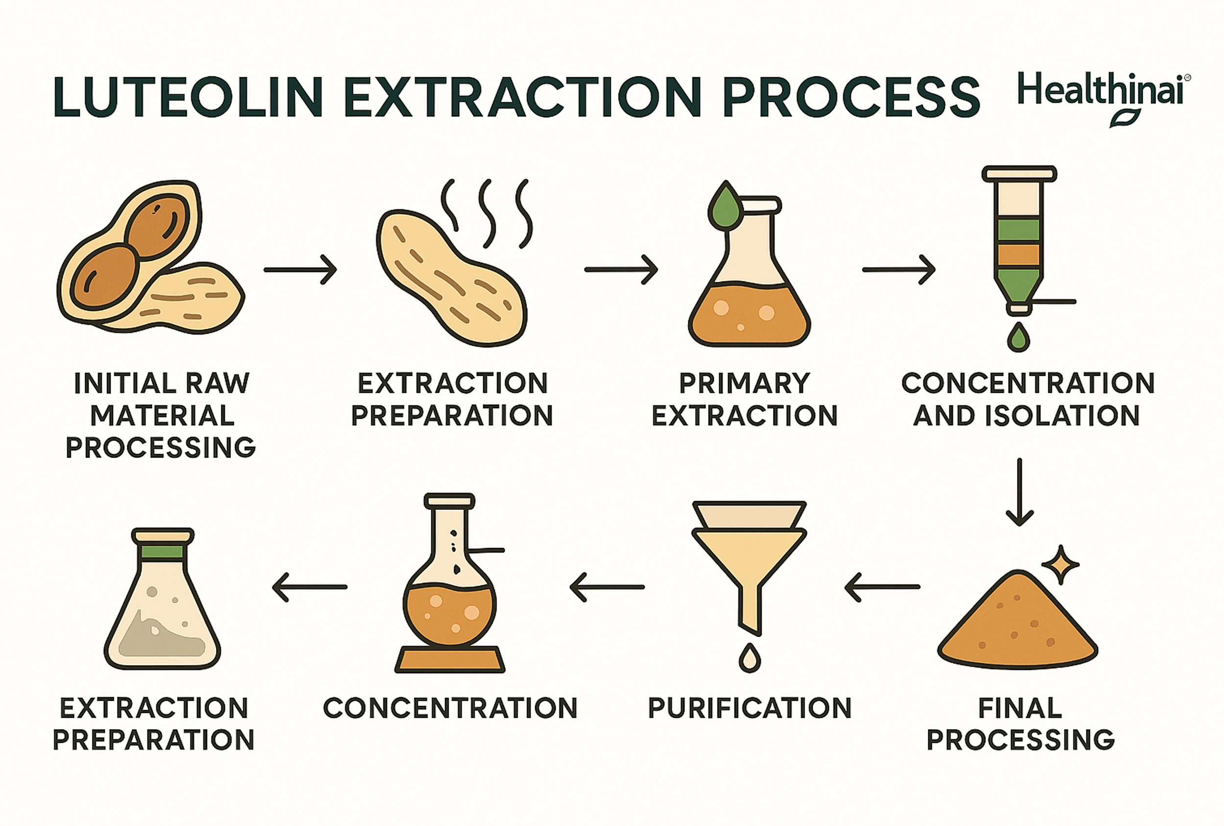 Peanut shell extract powder manufacturing process