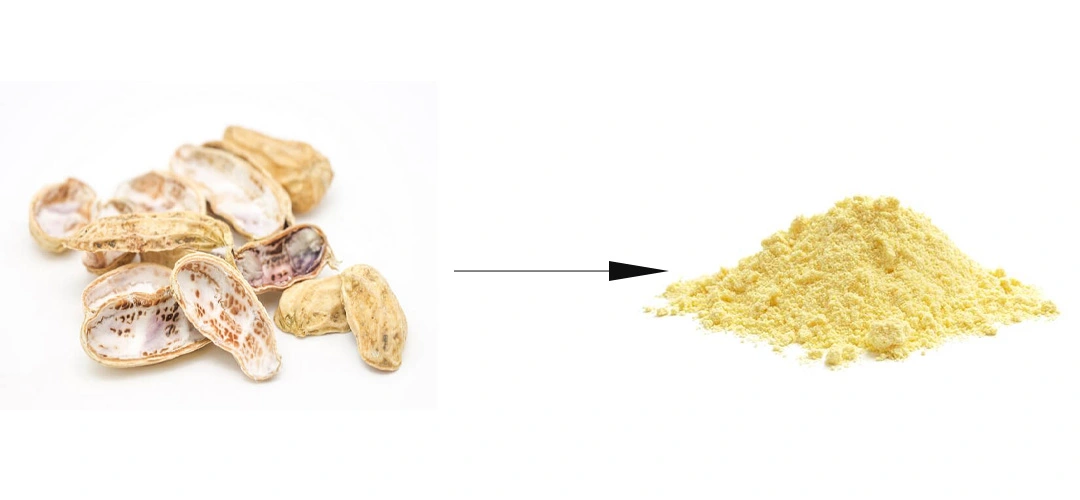  Peanut shell extract powder sources