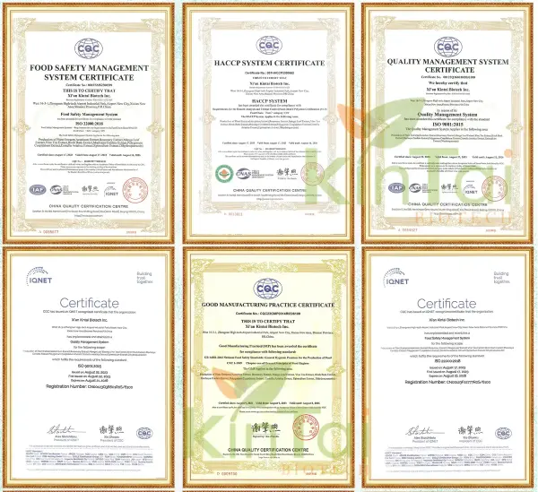 Kintai Certificates Kintai Certificates