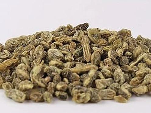 Sophora japonica dry
