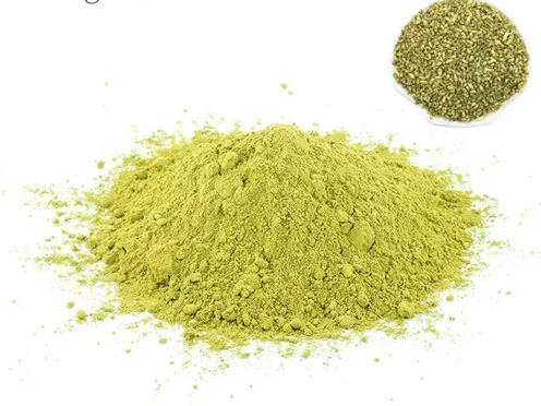 Sophora japonica powder