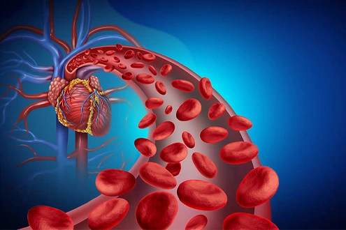 Vascular Health Vascular Health