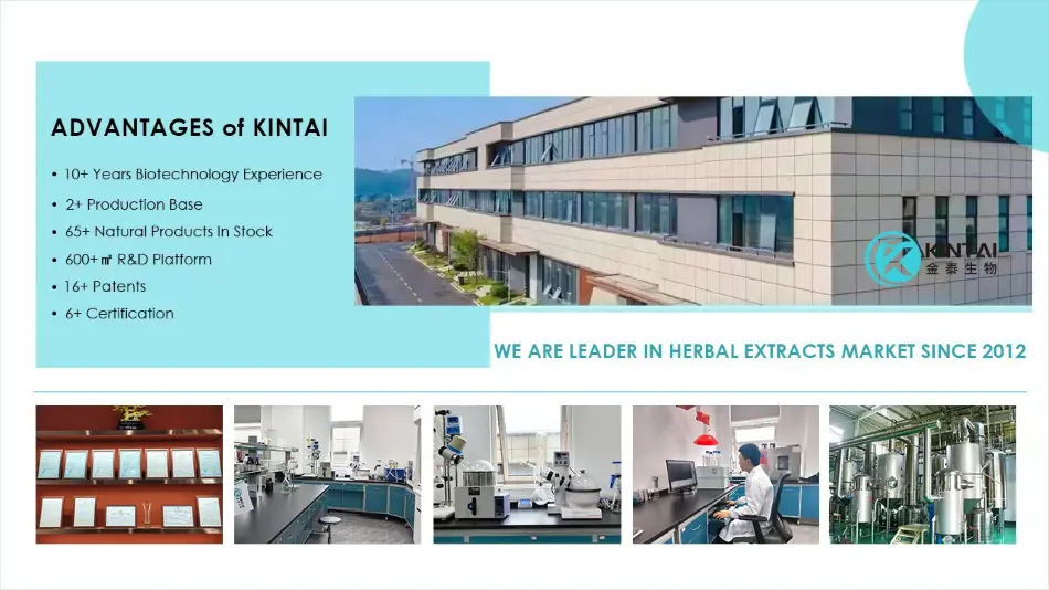 Kintai‘s Advantages Kintai‘s Advantages