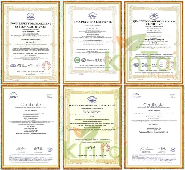 Kintai Certificates Kintai Certificates