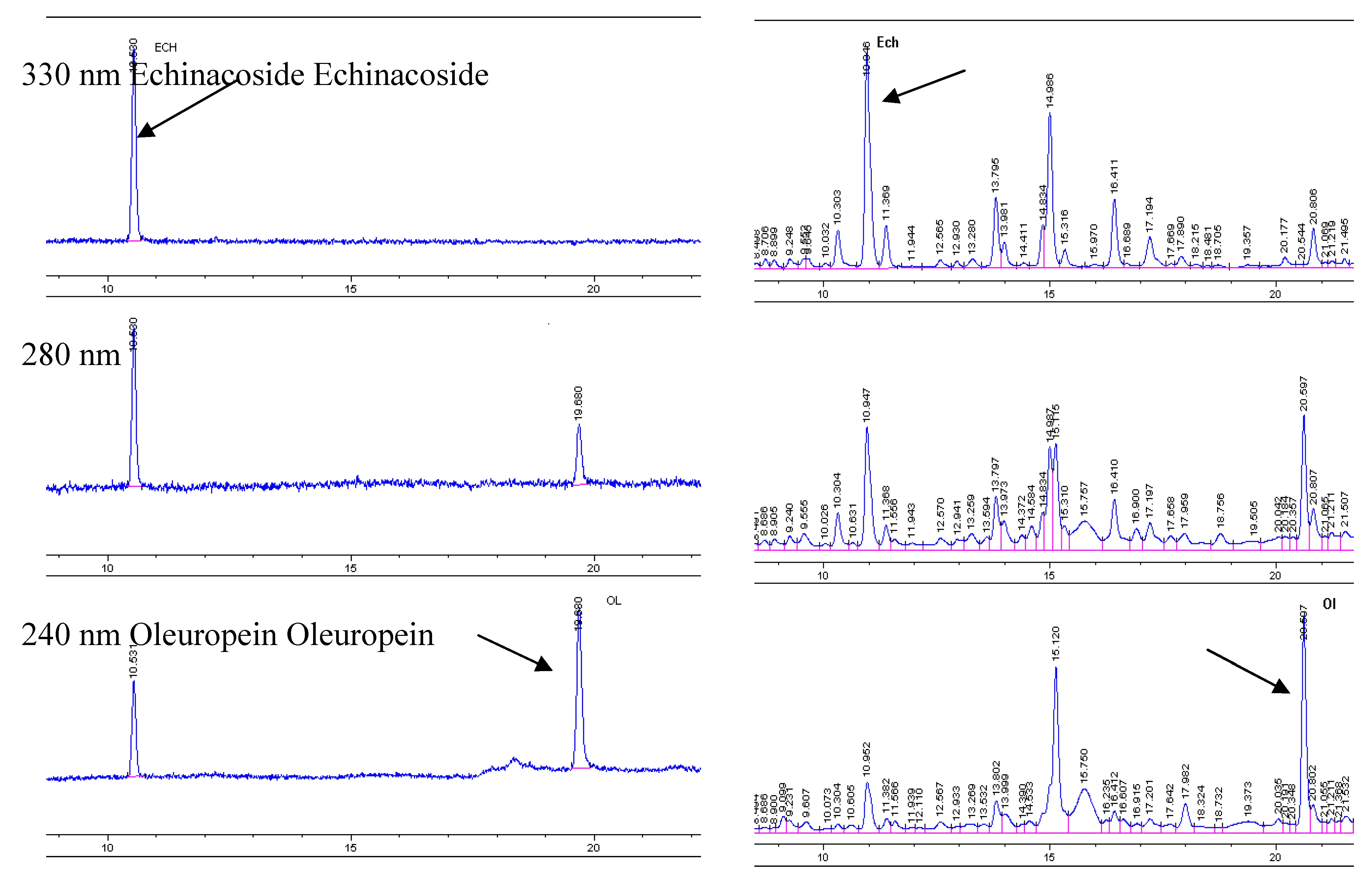 HPLC test of fructus ligustri lucidi extract