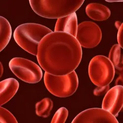 Promote cell mature Promote cell mature