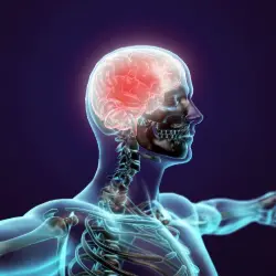 the health of the nervous system the health of the nervous system