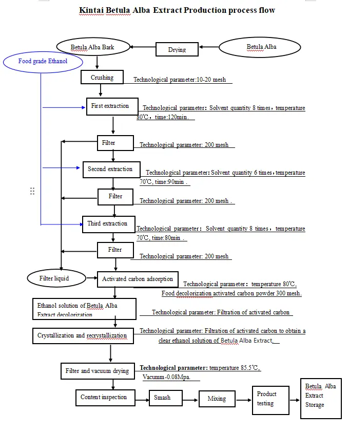 Kintai Betula Alba Extract’s Production process Kintai Betula Alba Extract’s Production process