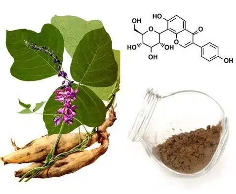 Pueraria Isoflavones