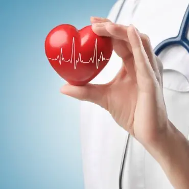 Protect cardiovascular system Protect cardiovascular system